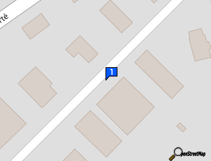 Carte Technic Electric Auto Sarl