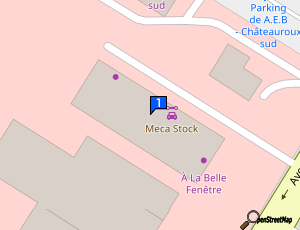 Carte Team Sport Mecanique Racing