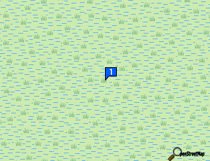 Carte Saint Nazaire Echappement