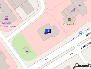 Carte Guichard Talant