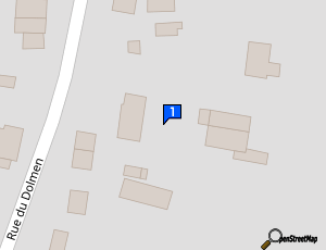 Carte Cars Cleaner Team