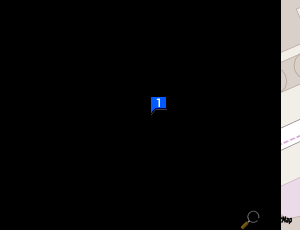 Carte Urgence Pare Brise