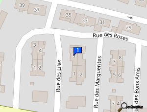 Carte Mp D Boss Auto 25