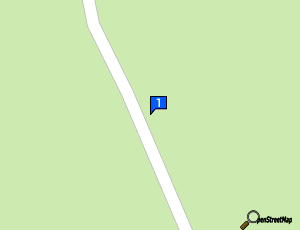 Carte Silver S Garage