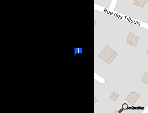 Carte Charles Fessmann Electricite Auto