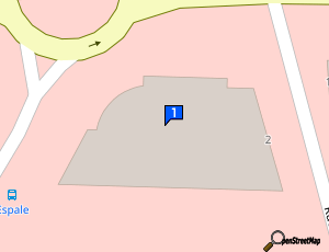 Carte Car Wrap Design