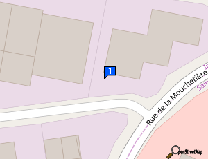 Carte Flash Pare Brise