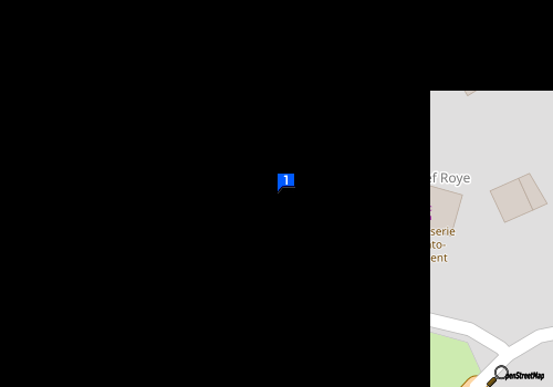 Carte Remiremont Pare Brise