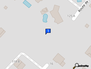 Carte Auto Select Lavage