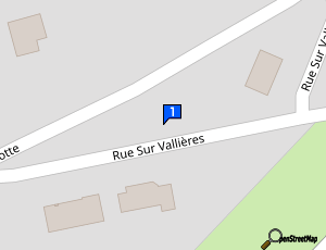 Carte Repair Car Bauer