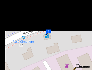 Carte Auto Pace Services