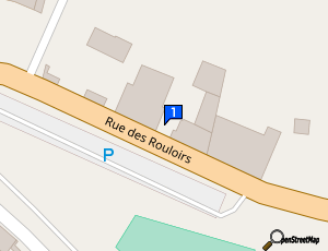 Carte Garage Mg Pinzariu