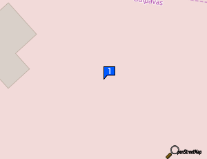 Carte Nettoyage Auto Pro