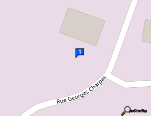 Carte Hayon Mobile Service