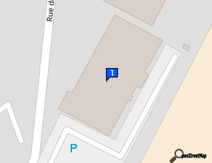 Carte Auto Racing Services Ars