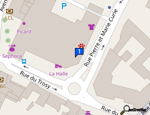 Carte Auto Pro Lavage