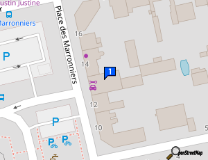 Carte Garage Des Marronniers