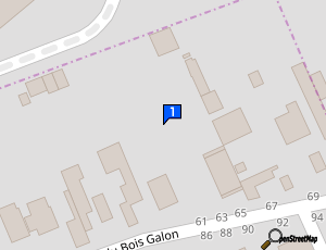 Carte Fourriere Roche