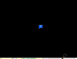 Carte Soc Exploitation Garage Martinelli