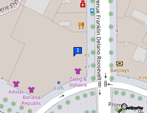 Carte Business Cars Driver