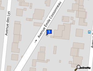 Carte M Y Prestige Auto