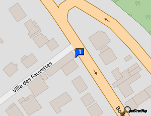 Carte Rayanspeed Auto