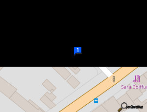 Carte Truck Services