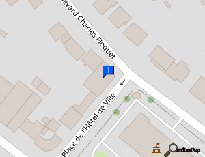 Carte Auto Clean Family