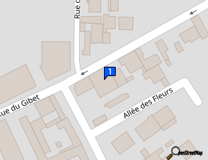 Carte Amt Automobile