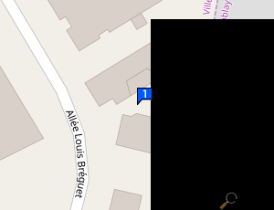 Carte Auto Pro Service