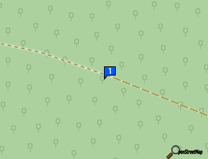 Carte Tom Jerry Garage