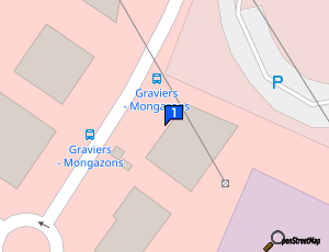 Carte Fast Pare Brise