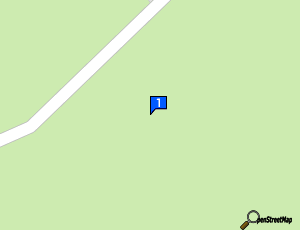 Carte Racing Sport Services