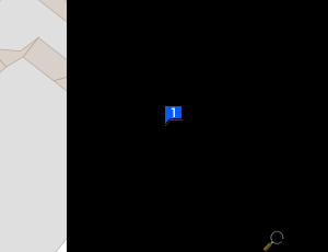 Carte Car Net Service