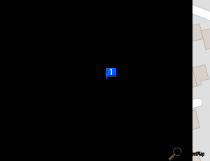 Carte Jg Technicien Conseil