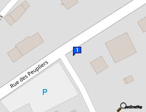 Carte Soc Exploitation Garage Roch