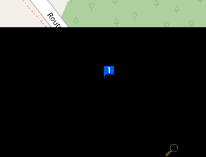 Carte Manu-automobile