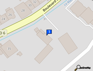 Carte Dynamic Auto
