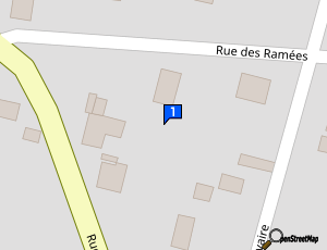 Carte Sos Courroie De Distribution