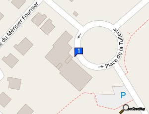 Carte Shine Auto Services