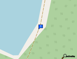 Carte Team Ignatovic