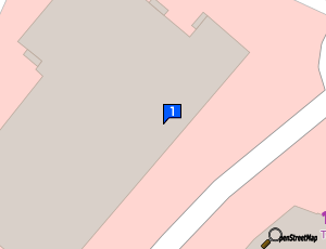 Carte Pneus Leader 60