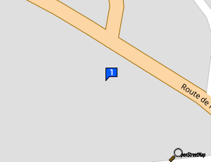 Carte Automobiles Martin