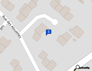 Carte Automobile Debosselage De Finition