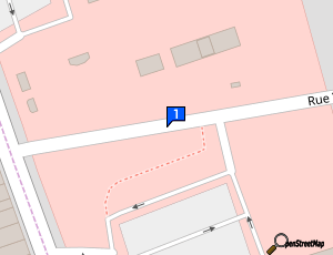 Carte Societe Jet Pingouin