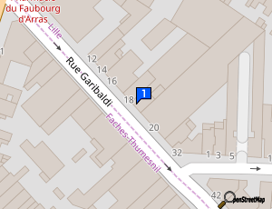 Carte Garibaldi Mecanique Auto