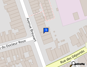 Carte Micro Paint Auto